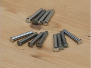 Schapdragers (voorbeeldfoto)